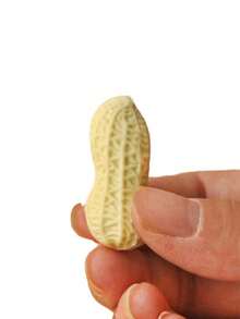 5pcs Realistic Peanut Shaped Erasers, Creative Funny Stationery, Cute Student Prizes, Quirky Personalized Erasers, Low Dust, No Trace