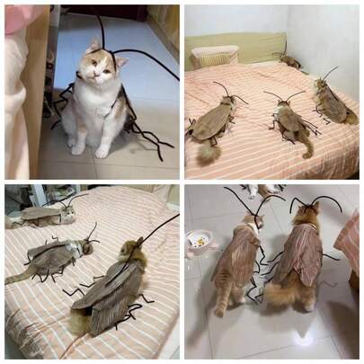 Cockroach Clothing, Funny Cockroach Clothes, Cats Clothing Kit with Wings and Antenna, Cosplay Halloween Party Decoration Colorx 1