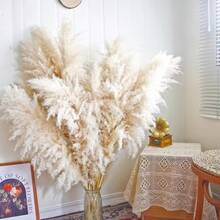 5/10/15/20pcs 21.6 Inch/55cm Tall Beige Pampas Grass Stems, Ideal For Adding Boho Vibe To Your Space - Pampas Grass Is Perfect For Floral Arrangements, Vases, Weddings, And Creating A Bohemian Atmosphere At Home. Christmas And Valentine's Day Wedding Decor - Brown - View 7