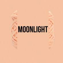 66色1支/2支/3支装T恤纱线，梭织针织纱线，适用于钩编和编织包袋、靠垫、玩偶、手工钩编项目 - 多色 - 查看 92