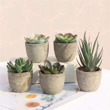 5pcs Artificial Decorative Succulent Plants, Fake Cactus & Succulents With Pots, Home Decor
