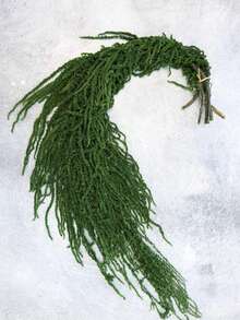1/2/3/4/5 Sticks Hanging Amaranthus,Hanging Amaranthus Bunch,Hanging Wall Decor,Arch Flower Decor,Dry Flowers Arrangement,Wedding Decor - Dark Green - View 5