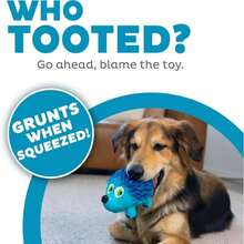 Outward Hound Tootiez Sheep Grunting Latex Rubber Dog Toy, Small - ColorA - 查看 2