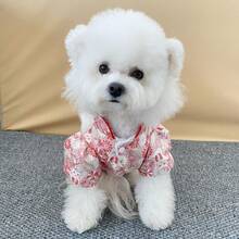 Thick Chinese Style Embroidered Tassel Two-Leg Skirt Warm Clothes For Pets, Suitable For Poodle, Teddy, Bichon Frise, Small Dogs, British Shorthair, Ragdoll Cats In Winter - Red - View 9