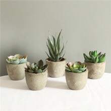 5pcs Artificial Decorative Succulent Plants, Fake Cactus & Succulents With Pots, Home Decor