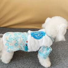 Thick Chinese Style Embroidered Tassel Two-Leg Skirt Warm Clothes For Pets, Suitable For Poodle, Teddy, Bichon Frise, Small Dogs, British Shorthair, Ragdoll Cats In Winter - Red - View 6