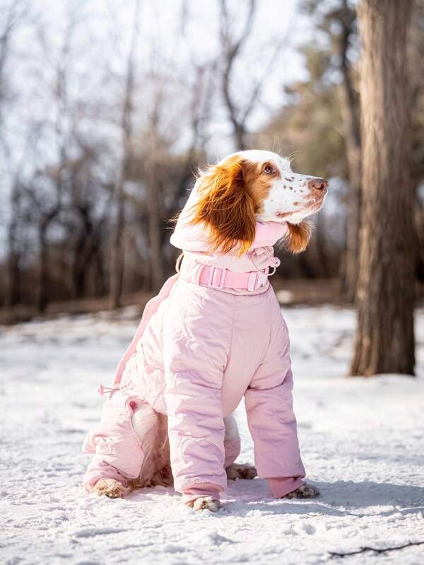 Abrigo de algodón grueso, impermeable y cálido para perros finos como el galgo italiano, el galgo y el saluki, color rosa