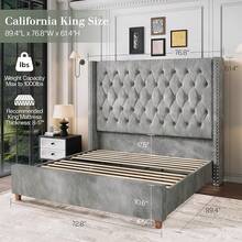 Luxury Velvet Wingback Bed Frame With 61.4" Tall Button Tufted Headboard - Platform, Solid Wood Legs, Modern Glam, Grey - Xám - Xem 4