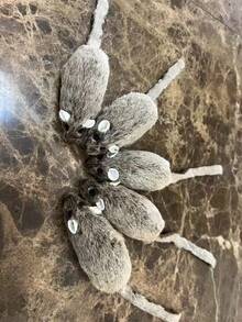 全新可爱有趣的猫咪毛绒逼真老鼠，适合放松、自娱自乐、磨牙、咬人、玩乐、宠物猫玩具 - 深灰色 - 查看 9