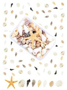 Conch Shells Kit, Natural Conch Shells Kit For Jewelry Making, DIY Fish Tanks Aquarium Pot Filler, Mini Small Sea Shells Conch