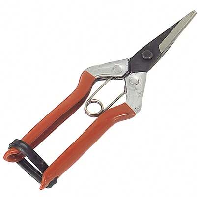 WOLFPACK 8250125 Tesoura para colheita de uvas com uma mão P 1552 180 mm.
