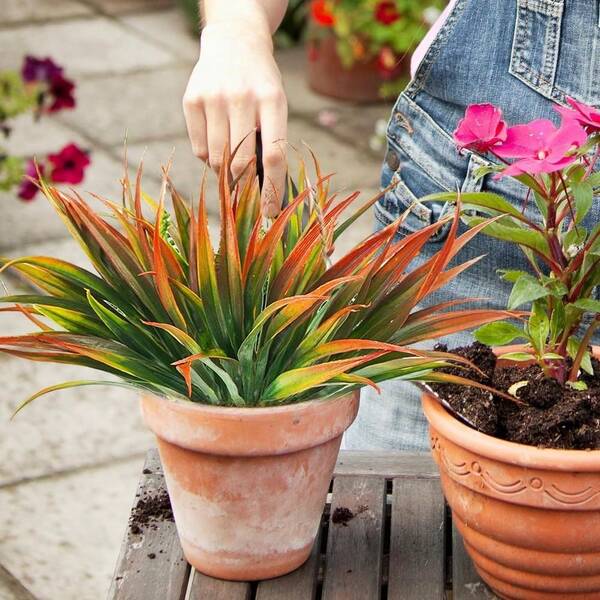 1pc Vibrant UV-Resistant Artificial Tall Grass Plants In White Marble Pattern Pots - Perfect For Home & Party Decor, Durable Plastic, Party Decorations|Decorative Plants|Realistic Texture, Artificial Plants For Home Decor