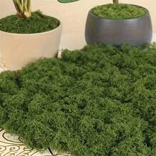 1pc 50g Artificial Moss Simulation Plant Green Moss, Valentine Day, Gift Gifts Birthday Graduation - Green - View 8