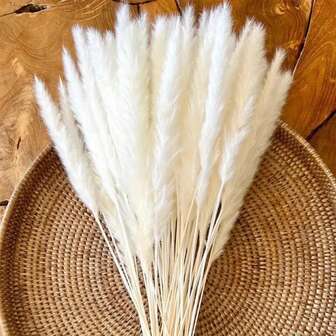 5/10/15/20 件干花和芦苇草，适用于波西米亚风格婚礼餐桌装饰、乡村家居婚礼、夏季/秋季中心装饰、毕业典礼、返校、独立日、母亲节和圣诞节礼物