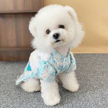 Thick Chinese Style Embroidered Tassel Two-Leg Skirt Warm Clothes For Pets, Suitable For Poodle, Teddy, Bichon Frise, Small Dogs, British Shorthair, Ragdoll Cats In Winter - Red - View 10
