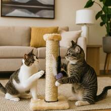 Cat Scratching Post With Exclusive Sisal Toy - 米色 - 查看 1