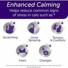 FELIWAY? Optimum 30 Day Cat Calming Plug In Pheromone Diffuser Starter Kit, 48ml - Helps Reduce Common Signs Of Stress In Cats &Amp; Kittens, Enhanced Calming - Trong suốt - Xem 4