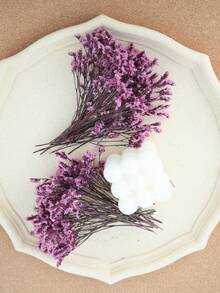 1/6 Box Mini Dried Baby's Breath Flowers, Bulk Bouquet Natural Gypsum Flowers For Wedding Wreath, Bridal Shower, Home Vase Decor, Card Making DIY - Pink Crystal Grass - View 9