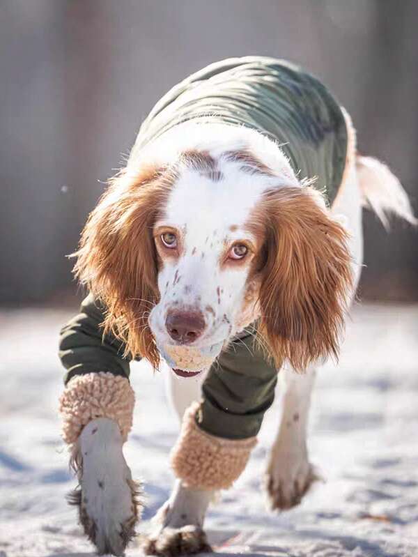 Chaqueta reversible de doble cara de lana de cordero gruesa resistente al viento y al frío para galgos italianos de invierno, galgos doberman y perros grandes