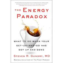The Energy Paradox: What To Do When Your Get-Up-And-Go Has Got Up And Gone - Single Book - View 1
