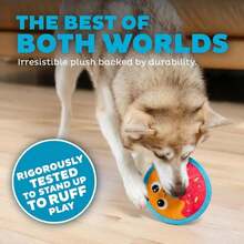 Juguete de perro Outward Hound Tough Skinz durable y con chillido, con dos capas resistentes, rosquilla, multicolor, pequeño - ColorD - Ver 3