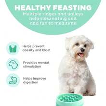 Fun Feeder Slo Bowl, Small Slow Feeder Dog Bowl, 3/4 Cups, Mini, Mint{"Color_name":"Mint","Size_name":"Small"} - bạc hà - Xem 3