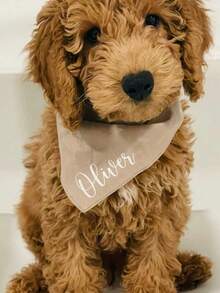 1pc Personalized Dog Bandana, Customized Dog Neck Scarf, Dog Neckwear, Dog Name Bandana, Gift For Dog Lovers, Dog Mom Gift, New Dog Gift, Engagement Dog Bandana - Customizable Text Or Logo - Multicolor - View 4