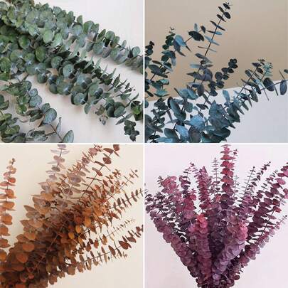 Ramas de eucalipto preservadas, arreglo floral DIY, decoración para aniversario de boda familiar