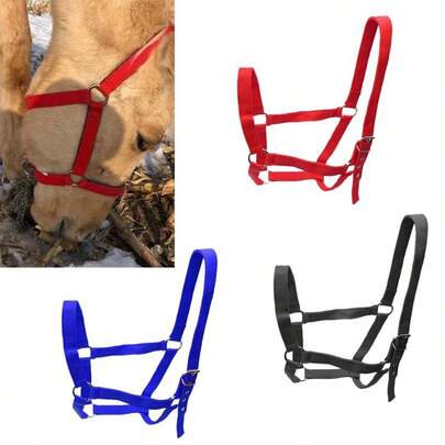 1 件专业马笼头，可调节马笼头适用于各种马术训练和骑行场景，户外骑行必备