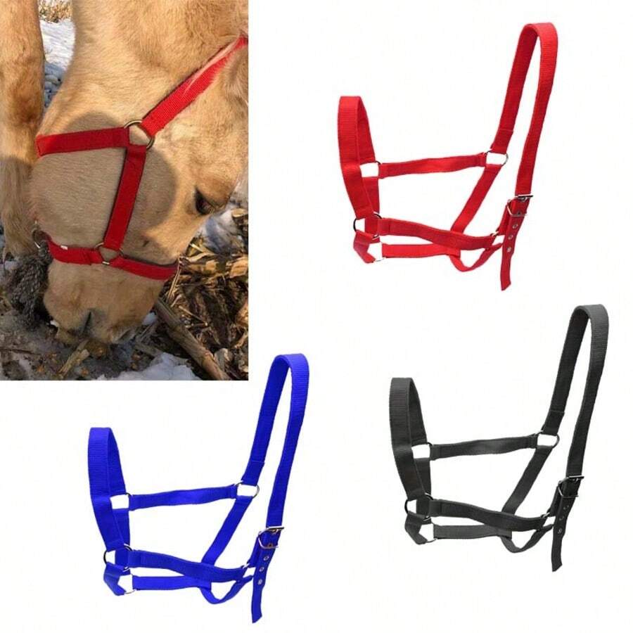 1 件专业马笼头，可调节马笼头适用于各种马术训练和骑行场景，户外骑行必备