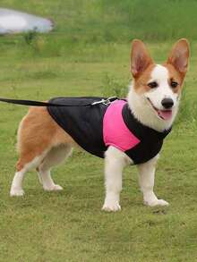 Chaqueta para mascotas nueva para otoño e invierno con chaleco con cremallera para mantener el calor, cuello de color contrastante, cierre a presión de moda, adecuado para perros de tiro. Chaqueta y ropa exterior para mascotas adecuada para todas las razas, ideal para aventuras al aire libre con su mascota. Artículos esenciales y necesidades para cachorros para caminar y hacer senderismo.