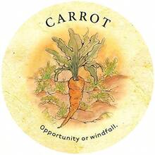 Tea Leaf Fortune Cards: 200 Round Divination Cards 98page Illustrated Guidebook For Reading Tea Leaves Tasseomancy Ancient Fortunetelling Method