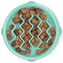 Fun Feeder Slo Bowl, Small Slow Feeder Dog Bowl, 3/4 Cups, Mini, Mint{"Color_name":"Mint","Size_name":"Small"} - bạc hà - Xem 1