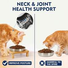 Elevated Cat Bowls For Indoor Cats – Raised Bamboo Cat Bowl Stand With 5.5" Wide Stainless Steel Dishes, Pet Food Table Plate For Easy Feeding, Whisker Friendly (Silver,Set Of 2){"Size_name":"2Squares"} - 2個正方形 - 查看 5