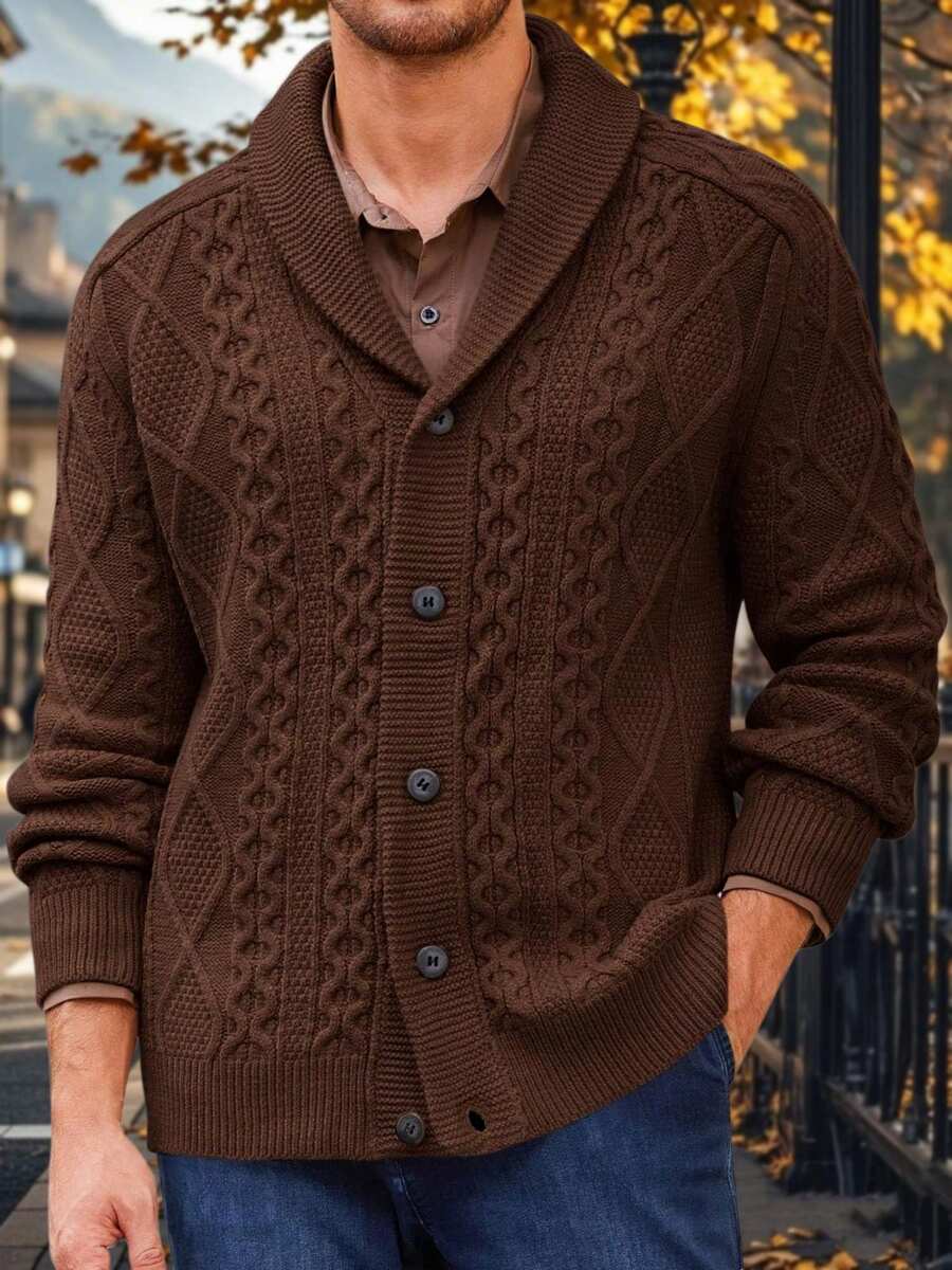 Mens Chunky Shawl Collar Cardigan Sweaters Cable Knit Button Down Knitwear Warm Fall Winter Outfits - Coffee Brown - View 1