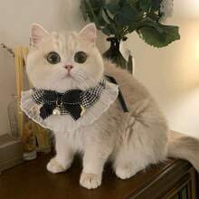 1件雪纺宠物项圈，配仿珍珠蝴蝶结，猫狗通用，宠物户外拍照配饰 - 黑與白 - 查看 6