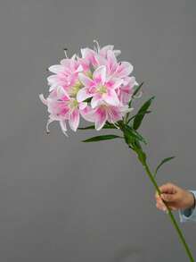 1pc 10-Head Artificial Lily Flower Branch, Living Room Decor, Floral Arrangement, Photography Prop - Multicolor - View 19