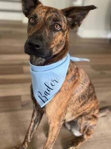 1pc Personalized Dog Bandana, Customized Dog Neck Scarf, Dog Neckwear, Dog Name Bandana, Gift For Dog Lovers, Dog Mom Gift, New Dog Gift, Engagement Dog Bandana - Customizable Text Or Logo - Multicolor - View 8