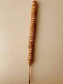 Tutor Suporte Flexível Planta Trepadeira de Fibra de Coco 60cm e 80cm - Guia de Vaso para Jardinagem - Marrom - Visão 7