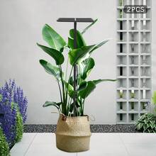 CNCEST 2 Pack Dragon Fruit Trellis For Climbing Plants – Adjustable Metal Garden Plant Support Frame With Stable Cross Base – Vertical Iron Vine Stand For Balcony, Patio, Indoor & Outdoor Use (47.2 Inch) - 黑色 - 查看 2