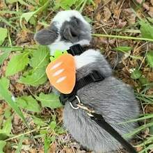 قيادة أرنب قابلة للتعديل، مناسبة للتدريب الاجتماعي في الهواء الطلق، تصميم مانع للانزلاق، ضروري لمشي الحيوانات الأليفة الصغيرة - متعدد الألوان - مشاهدة 1