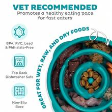 Fun Feeder Slo Bowl, Medium Slow Feeder Dog Bowl, 2 Cups, Turquoise{"Color_name":"Turquoise","Size_name":"Medium"} - Màu ngọc lam - Xem 4