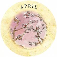 Tea Leaf Fortune Cards: 200 Round Divination Cards 98page Illustrated Guidebook For Reading Tea Leaves Tasseomancy Ancient Fortunetelling Method