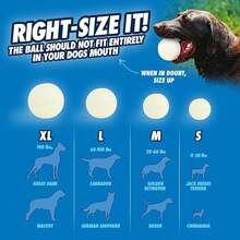 Paquete CHUCKIT 32314 Max Glow Ball Rev, Grande - Grande - Ver 7