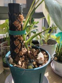 1pc 3D Printable Modular Mosspole That Can Be Filled With Sphagnum Mos