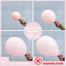 127pcs Balloons,  Balloons Different Sizes Pack Of 36 Inch 18 Inch 12 Inch 10 Inch 5 Inch Balloons For Balloon Garland - Trending, Best Seller, New Arrival, Party Supplies, Elegant Decor, Party Decoration, Wedding & Birthday - 淺粉紅色 - 查看 2