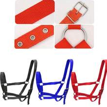 1 件专业马笼头，可调节马笼头适用于各种马术训练和骑行场景，户外骑行必备