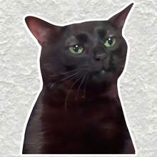 1pc/3pcs Adorable Little Black Cat Sticker Creative Scratch Cover Vinyl Car Decoration Sticker Waterproof School Supplies - Multicolor - View 2