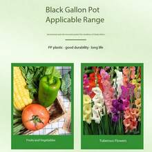 High - Quality PP Material Gallon Plant Container With Bottom Round Hole, Black Inlet, Long - Lasting & Root - Protecting For Indoor Outdoor Gardening Scenarios Christmas Flowerpot