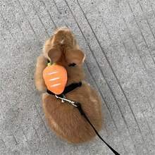 قيادة أرنب قابلة للتعديل، مناسبة للتدريب الاجتماعي في الهواء الطلق، تصميم مانع للانزلاق، ضروري لمشي الحيوانات الأليفة الصغيرة - متعدد الألوان - مشاهدة 3